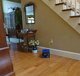 Professional-grade ozone generator ionizer, suitable for areas of up to 2500 square feet. It is used for deodorizing and purifying medium-sized areas (such as hotel rooms, offices, and basements). image 4