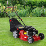 Self-propelled lawn mower, 141cc four-stroke gasoline engine, lawn mower with 20-inch blades, rear-wheel drive, push-type lawn mower, equipped with a 50-liter hay storage tank, rear wheel diameter 10 inches, rotational speed 2850 revolutions per minu image 2
