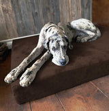 Fashion oversized dog bed (XL size, dark gray) - Thickness 7 inches, soft and comfortable, ergonomic cushion - Oversized dog bed - Durable and washable microfiber cover image 2