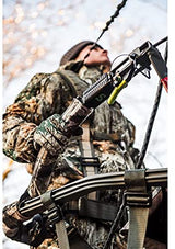 Climbing Treestands image 4