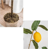 Fake Bonsai Tree The Artificial Plant Small Potted Plant Decorates The Artificial Flower Lemon Tree, 37 Inches High, It is A Good Choice Both Indoors and Outdoors. Artificial Bonsai Tree image 2