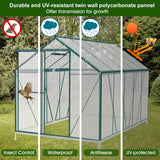6'x10' Walk-in Greenhouse with 4mm 800G Polycarbonate Panels - Heavy-Duty Aluminum Frame, Wind/Snow Resistant for Gardening, Includes Sliding Door & Ventilation Windows (Green) image 4