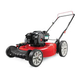 Walk Behind Push Mower with Briggs and Straton Engine image 2