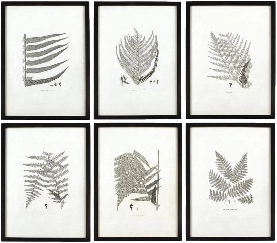 MY SWANKY HOME Modern Set of 6 Black White Fern Prints Botanical Framed Monochrome 29 in