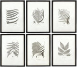 MY SWANKY HOME Modern Set of 6 Black White Fern Prints Botanical Framed Monochrome 29 in