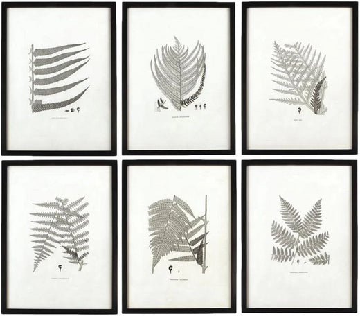 MY SWANKY HOME Modern Set of 6 Black White Fern Prints Botanical Framed Monochrome 29 in