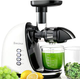 Slow Masticating Juicer,Brecious Cold Press Juicers with 2 Speed Modes & Quiet Motor,Juicers Machines Vegetable and Fruit with Reverse Function,Celery Juicer,BPA-Free,Easy to Clean (Black) image 2