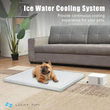 Pet Bed Cooling System, Consistent Warm and Cold Water Pad, No Electric Shock or Chemical Gel Needed, Machine Washable Bed, Ideal for Home and Crates (Cooling & Heating Green, 41" x 28") image 2