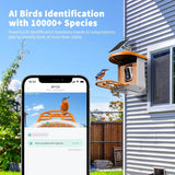 Bird Feeder with Camera with AI Identify Birds Species Solar Panel, Smart Bird House with Cam, 2K Live View, Instant Arrival Alerts image 3