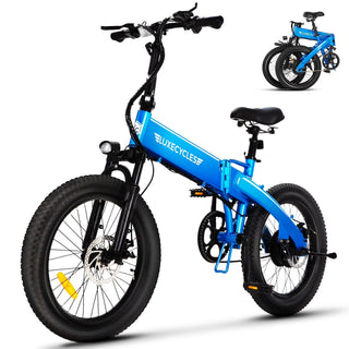 Alpha Joy Electric Bike for Adults 20 in, Rated 500W E-Bike 48V 13AH UL2849