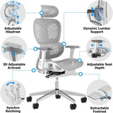 Ergo3D Ergonomic Office Chair -- High Back Mesh Desk Chair with 3D Adjustable Armrests, Wheels, for Home and Office (Black) image 3