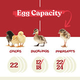 Farms Nurture Right Egg Incubator for Hatching Chicks - Holds 22 Eggs image 2