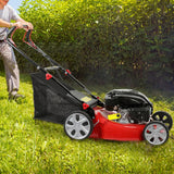 Self-propelled lawn mower, 141cc four-stroke gasoline engine, lawn mower with 20-inch blades, rear-wheel drive, push-type lawn mower, equipped with a 50-liter hay storage tank, rear wheel diameter 10 inches, rotational speed 2850 revolutions per minu image 4