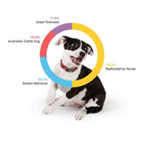 Embark Dog DNA Test, Breed Identification Kit image 2