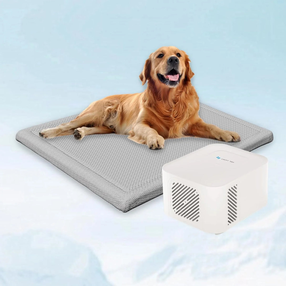 Pet Bed Cooling System, Consistent Warm and Cold Water Pad, No Electric Shock or Chemical Gel Needed, Machine Washable Bed, Ideal for Home and Crates (Cooling & Heating Green, 41" x 28")