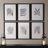 MY SWANKY HOME Modern Set of 6 Black White Fern Prints Botanical Framed Monochrome 29 in image 2