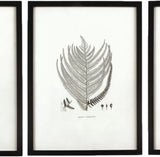 MY SWANKY HOME Modern Set of 6 Black White Fern Prints Botanical Framed Monochrome 29 in image 3