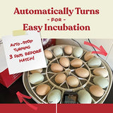 Farms Nurture Right Egg Incubator for Hatching Chicks - Holds 22 Eggs image 3