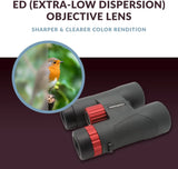 Binoculars (8x42mm) - Suitable for adults, hiking and outdoor activities, as well as for advanced bird watching. Professional type binoculars. image 4