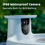Smart Bird Bath, equipped with a camera, solar power supply, fountain and stand. It features a dual-lens camera for bird observation, automatically captures bird videos and has motion detection functionality. image 3
