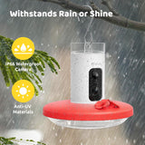 Hummingbird Feeder (Outdoor Hanging Type, with Camera, Ant-proof Groove), supports real-time viewing via 1080P high-definition application, equipped with artificial intelligence hummingbird recognition function, automatic recording and alarm function image 4