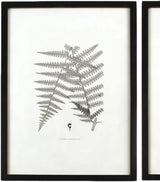 MY SWANKY HOME Modern Set of 6 Black White Fern Prints Botanical Framed Monochrome 29 in image 4