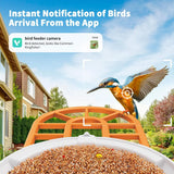 Bird Feeder with Camera with AI Identify Birds Species Solar Panel, Smart Bird House with Cam, 2K Live View, Instant Arrival Alerts image 4