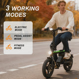 14 in Electric Bike for Adults,500W Folding E-Bike,Electric Commuter Mini Bikes,Electric Bicycles with 36V Removable Battery,Black image 6