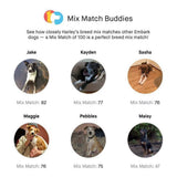 Embark Dog DNA Test, Breed Identification Kit image 4