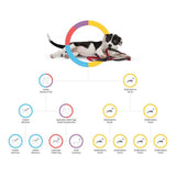 Embark Dog DNA Test, Breed Identification Kit image 3