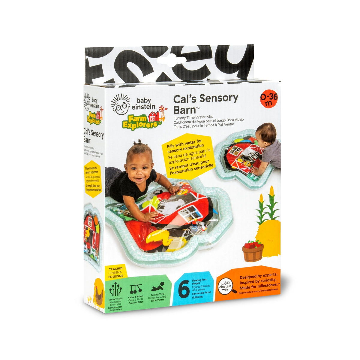 Baby Einstein Cal's Sensory Barn Tummy Time Water Mat