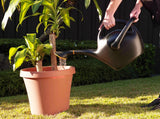 Bloem Easypour 2-in-1 Spout Watering Can with Dual Handle, 9.8-L, (2.6 US gal) Black image 5
