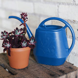 Bloem Indoor Plastic Watering Can, 4.25-L image 8