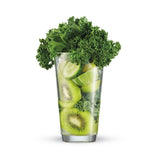 Breville Fresh & Furious Blender with LCD Display, Silver image 6