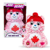 Care Bears Medium Plush True North Bear 2.0, 14-in image 4