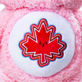 Care Bears Medium Plush True North Bear 2.0, 14-in image 5