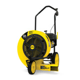 Champion Power Equipment 200938 Power Equipment 224cc 160 MPH 1300 CFM Gas-Powered Walk Behind Leaf Blower