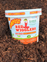 Compost Red Wiggler Live Composting Worms, 50 Count