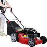 Self-propelled lawn mower, 141cc four-stroke gasoline engine, lawn mower with 20-inch blades, rear-wheel drive, push-type lawn mower, equipped with a 50-liter hay storage tank, rear wheel diameter 10 inches, rotational speed 2850 revolutions per minu image 3