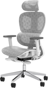 Ergo3D Ergonomic Office Chair -- High Back Mesh Desk Chair with 3D Adjustable Armrests, Wheels, for Home and Office (Black)