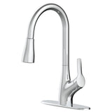 Danze Clarivo 2-in-1 Filtration 1-Handle Pull Down Kitchen Faucet, Various Finishes