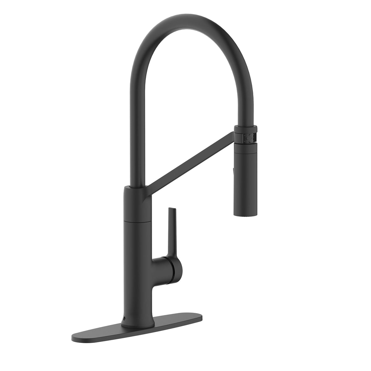 Danze Tana 1-Handle Pull-Down Kitchen Faucet