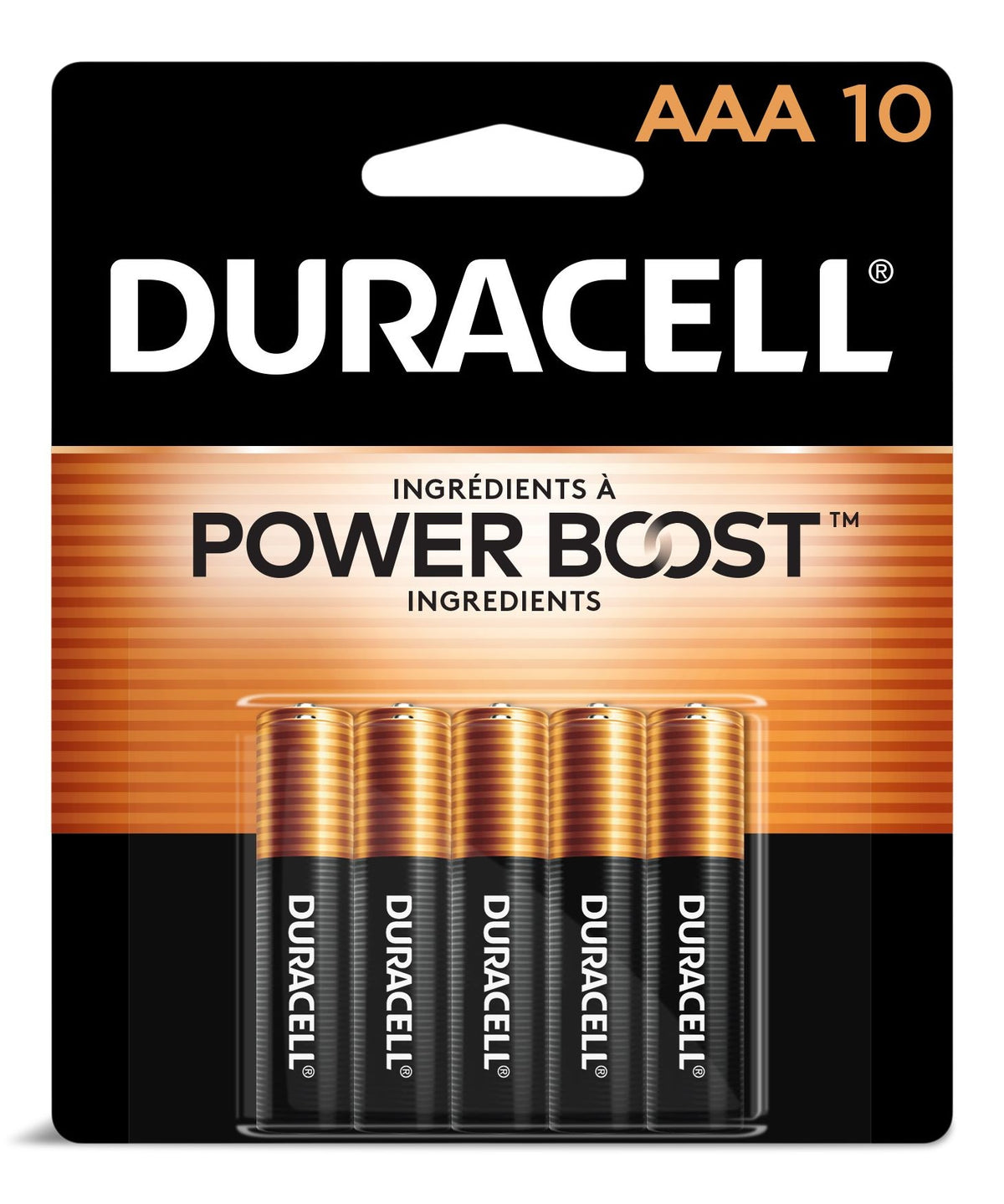Duracell Coppertop AAA Alkaline Batteries, All Purpose, 10-pk