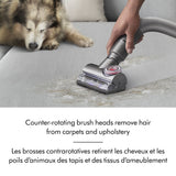 Dyson Ball Animal 3 Extra Upright Vacuum image 4