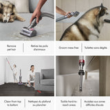 Dyson Ball Animal 3 Extra Upright Vacuum image 7