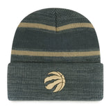 Fan Favorite NBA Toronto Raptors Mass Level Knit Toque