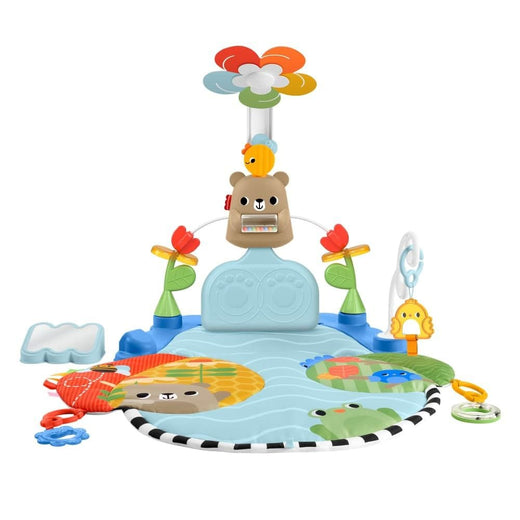 Fisher Price Kick & Sway Baby Activity Gym