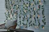 For Living Outdoor 12-Strand Warm White LED Curtain String Lights with Eucalyptus Leaves, 11.48-ft image 3