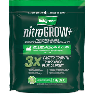 Golfgreen Nitrogrow+ Premium Nitrogen Enriched Sun and Shade Grass Seed with Fertilizer, 14-0-0, 3.5kg