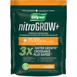 Golfgreen Nitrogrow+ Premium Nitrogen Enriched Sun Grass Seed with Fertilizer, 14-0-0, 1.2kg